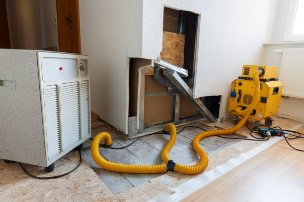 Biohazard Mold Removal in Union City, MI